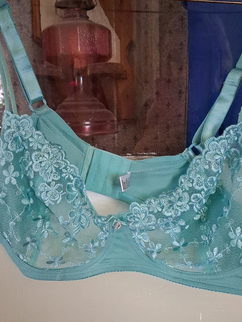Floral Lace Teal Underwire Bra - Women Intimates